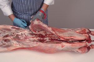 Flank Meat Cut Spec Step 2